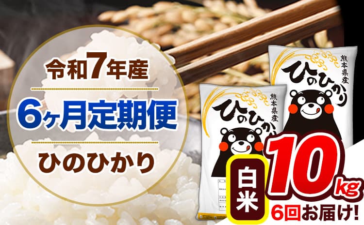 【6ヶ月定期便】令和7年産 定期便 ひのひかり 白米 10kg 《お申込み翌月から出荷》熊本県産 ふるさと納税 白米 精米 ひの 米 こめ ふるさとのうぜい ヒノヒカリ コメ 熊本米---hn7tei_129000_10kg_mo6_gkt_h---