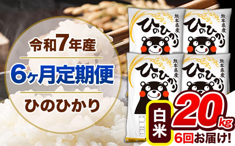 【6ヶ月定期便】令和7年産 定期便 ひのひかり20kg 《お申込み翌月から出荷》熊本県産 ふるさと納税 白米 精米 ひの 米 こめ ふるさとのうぜい ヒノヒカリ コメ 熊本米---hn7tei_255000_20kg_mo6_gkt_h---