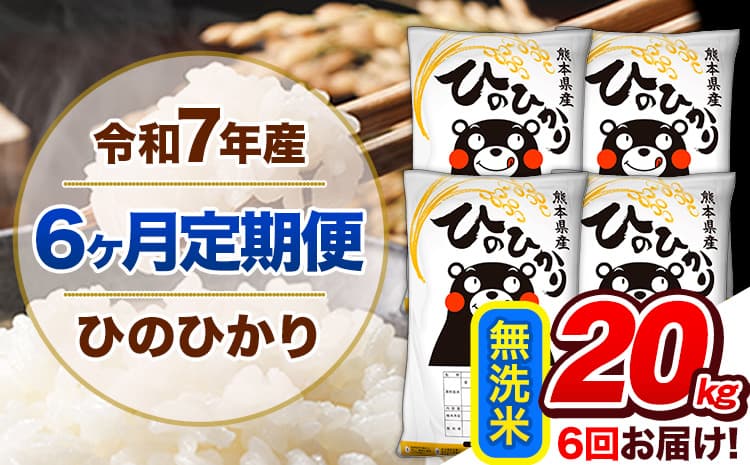 【6ヶ月定期便】令和7年産 定期便 無洗米 ひのひかり 20kg 《お申込み翌月から出荷》熊本県産 ふるさと納税 精米 ひの 米 こめ ふるさとのうぜい ヒノヒカリ コメ 熊本米---hn7tei_255000_20kg_mo6_gkt_m---