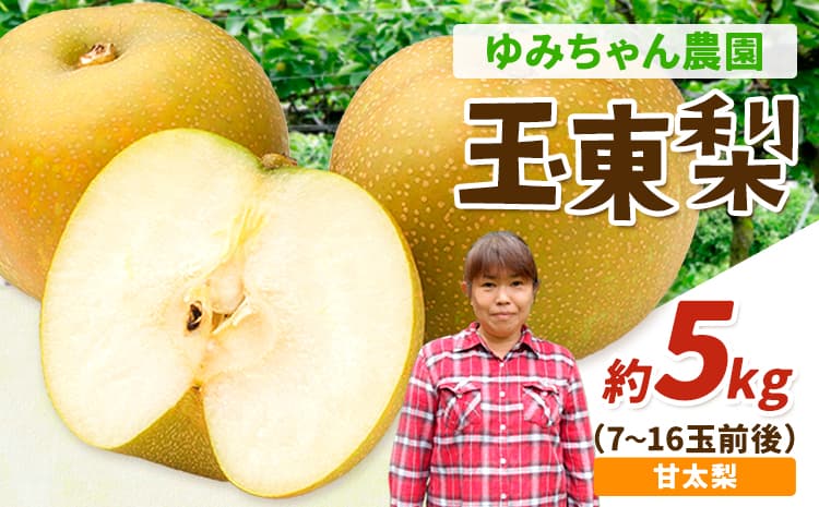 『ゆみちゃん農園』の玉東梨 甘太梨 約5kg 7玉-16玉前後 《2026年8月下旬-10月上旬頃出荷》熊本県玉名郡玉東町 梨 なし 果物 フルーツ 旬の梨---sg_cyumikanta_l810_r8_15000_5kg---