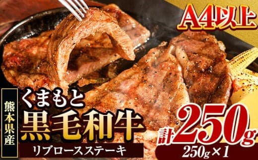 くまもと黒毛和牛 リブロースステーキ 250g×1枚 牛肉 冷凍 《30日以内に出荷予定(土日祝除く)》くまもと黒毛和牛 黒毛和牛 冷凍庫 個別 取分け 小分け 個包装 ステーキ肉 にも リブロースステーキ---gkt_fribu_30d_r8_10000_250g--- (管理コード:gkt_fribu_30d_r8_10000_250g)