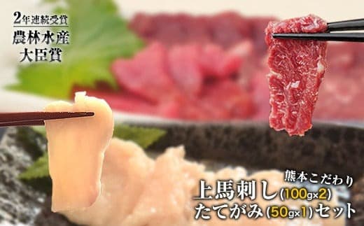 上赤身馬刺し200g+たてがみ50gセット《90日以内に出荷予定(土日祝除く)》馬刺し ブロック 国産 熊本肥育 冷凍 生食用 たれ付き 上赤身馬刺し100g×2 +たてがみセット50g  肉 絶品 牛肉よりヘルシー 馬肉 予約 平成27年28年 農林水産大臣賞受賞 熊本県玉東町---gkt_fkgaktate_90d_24_12500_250g--- (管理コード:gkt_fkgaktate_90d_24_12500_250g)