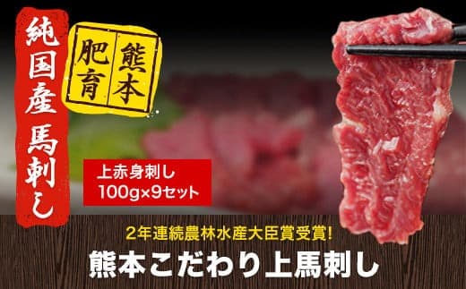 上赤身馬刺し100g×9セット(10ml×9袋)《90日以内に出荷予定(土日祝除く)》 熊本県 玉名郡 玉東町 馬刺し 国産 赤身 送料無料 肉 タレ付き 900g 牛肉よりヘルシー---gkt_fkgakm_90d_30000_900gt--- (管理コード:gkt_fkgakm_90d_30000_900gt)