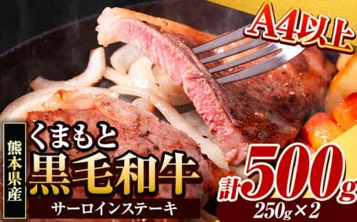 くまもと黒毛和牛 サーロインステーキ 500g (250g×2枚) 牛肉 冷凍 《30日以内に出荷予定(土日祝除く)》 くまもと黒毛和牛 黒毛和牛 冷凍庫 個別 取分け 小分け 個包装 ステーキ肉 にも サーロインステーキ---gkt_fsaro_30d_r8_16000_500g--- (管理コード:gkt_fsaro_30d_r8_16000_500g)