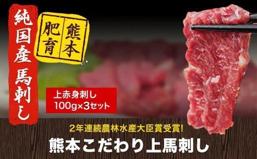 馬刺し 上赤身 ブロック 国産 熊本肥育 冷凍 生食用 たれ付き(10ml×3袋) 100g×3セット 肉 期間限定 絶品 牛肉よりヘルシー 馬肉 予約 平成27年28年 農林水産大臣賞受賞 熊本県玉東町《90日以内に出荷予定(土日祝除く)》送料無料 訳あり 定期便 でない---gkt_fkgakm_90d_12000_300gt--- (管理コード:gkt_fkgakm_90d_12000_300gt)