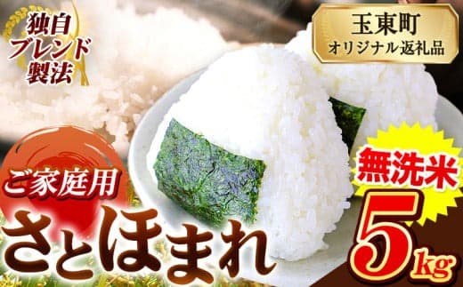 熊本県産 さとほまれ 無洗米 ご家庭用 5kg 《10月中旬-12月末頃出荷》熊本県 玉名郡 玉東町 米 こめ コメ ブレンド米 送料無料---gkt_sthml_bc1012_11000_5kg--- (管理コード:gkt_sthml_bc1012_11000_5kg)
