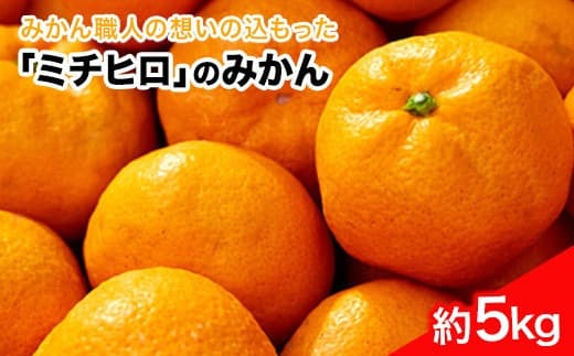 ぎょくだん『ミチヒロ』のみかん 約5kg(サイズ混合)《10月中旬-1月中旬出荷》 予約受付中 フルーツ 秋 旬 熊本県玉名郡玉東町『熊本・玉東、玉東町段々畑男子団。』みかん ぷらっとぎょくとう---gkt_prt_10_5kg---