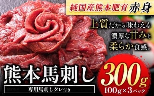 赤身馬刺し300g【純国産熊本肥育】 たっぷり300g 約100g×3ブロック(タレ5ml×6袋) 生食用 冷凍《30日以内に出荷予定(土日祝除く)》送料無料---gkt_fjst3_30d_r7_10000_300g--- (管理コード:gkt_fjst3_30d_r7_10000_300g)