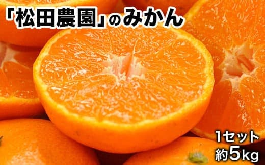 『松田農園』のみかんたっぷり約5kg (S-2Lサイズ)《11月上旬-1月下旬頃出荷》ジューシーで甘い♪  予約受付中 フルーツ 秋 旬 熊本県 玉名郡玉東町『松田農園』手間暇かけたこだわりのミカン---sg_mtdmikan_ak111_r7_12500_5kg--- (管理コード:sg_mtdmikan_ak111_r7_12500_5kg)