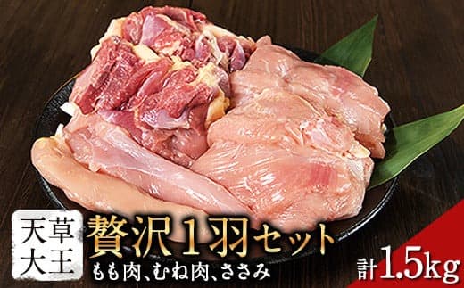 天草大王 贅沢1羽セット 約1.5kg【幻の地鶏】もも・むね・ささみ 各2枚《60日以内に出荷予定(土日祝除く)》---dg_faso1wa_60d_r7_17500_1500g--- (管理コード:dg_faso1wa_60d_r7_17500_1500g)