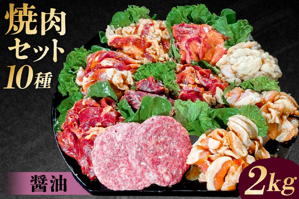 焼肉セット10種(醤油) 195010 【味付け 醤油 簡単 BBQ バーベキュー 牛タン 牛カルビ 牛ウデ 牛肩ロース 牛さがり 豚トロ ハンバーグ ホルモン 鶏もも 豚カルビ 小分け 冷凍保存】(管理コード:195010)
