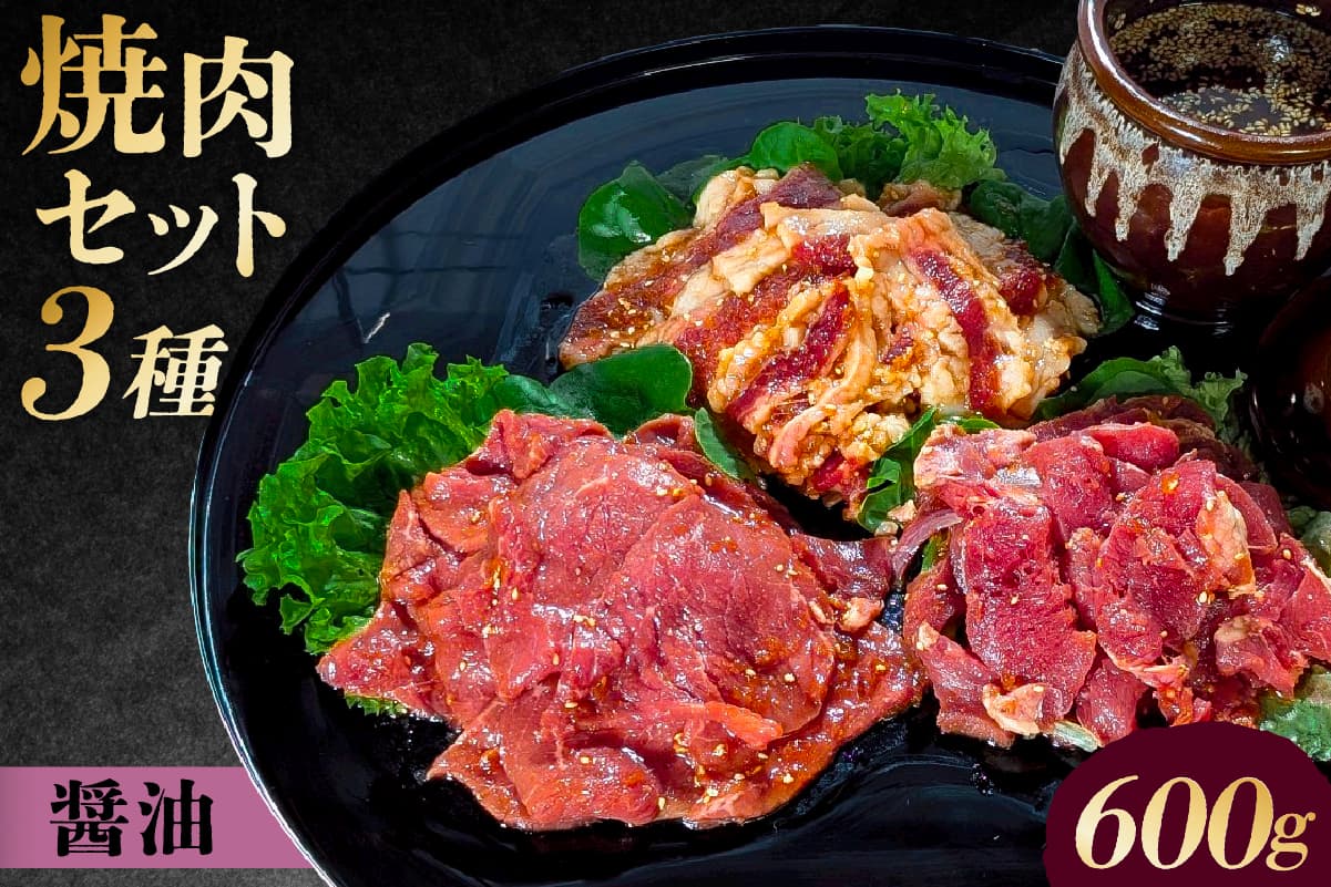 焼肉セット 3種 (醤油) 195016 【味付け 醤油 簡単 600g BBQ バーベキュー 牛モモ 牛カルビ 牛ウデ 小分け 冷凍保存】(管理コード:195016)