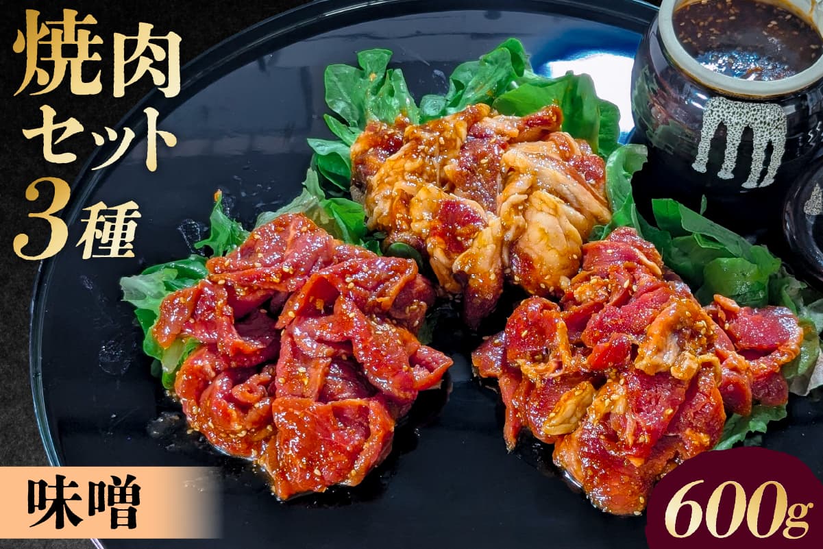 焼肉セット 3種 (味噌) 195017 【味付け 味噌 簡単 600g BBQ バーベキュー 牛モモ 牛カルビ 牛ウデ 小分け 冷凍保存】(管理コード:195017)