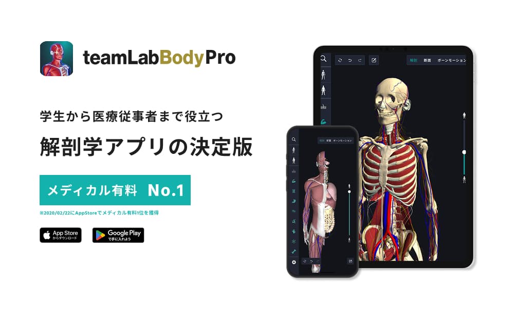 teamLabBody Pro Premiumプラン 1年分 215001 【アプリ 学生 解剖学 勉強 学習 メディカル 医療 医療機関 手術 説明】 (管理コード:215001)