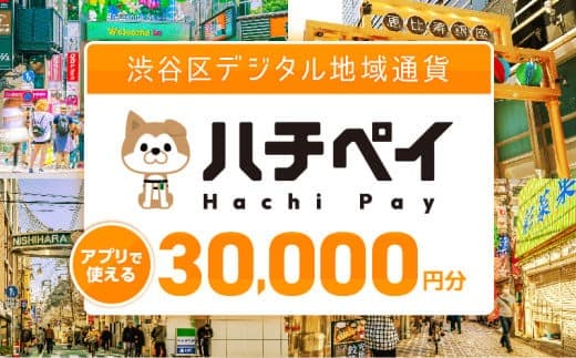 渋谷区デジタル地域通貨「ハチペイ」30,000円分 (管理コード:109004)