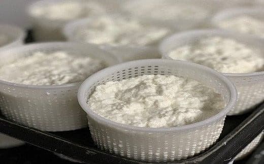 CHEESE STAND7種セット (管理コード:004008)